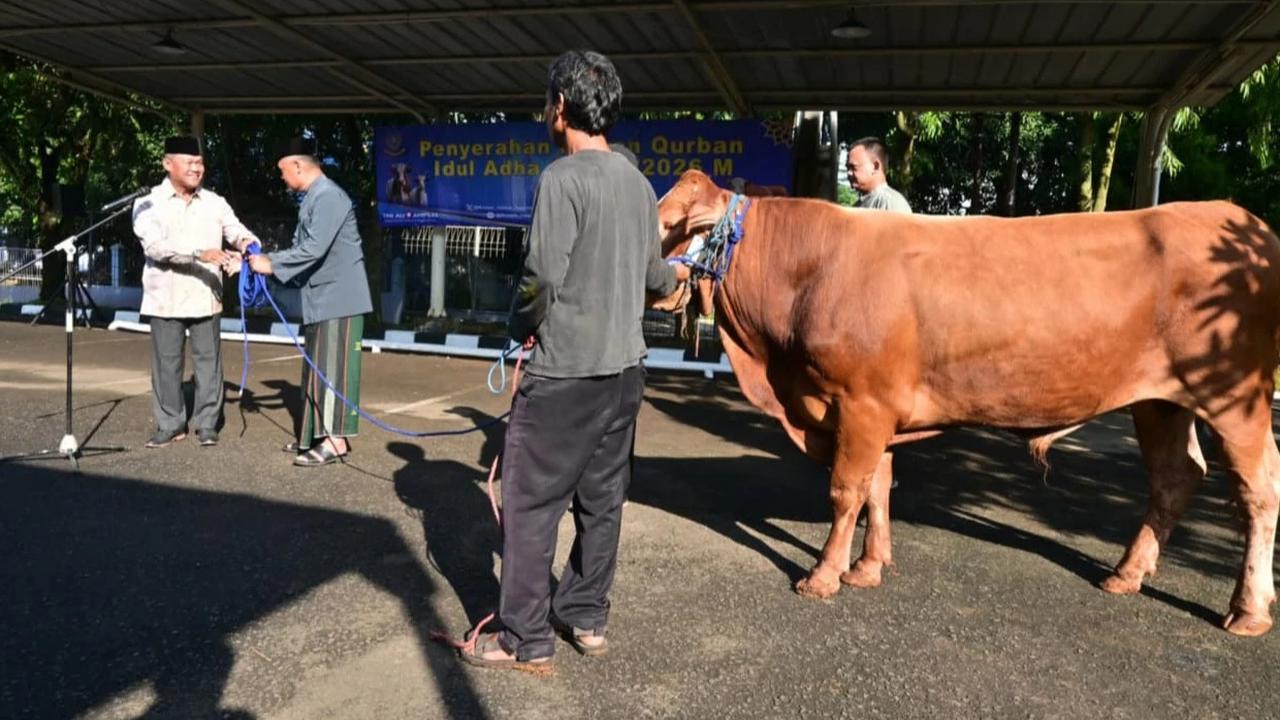 FOTO Koopsudnas Salurkan Semangat Berkurban Lewat 27 Hewan Kurban
