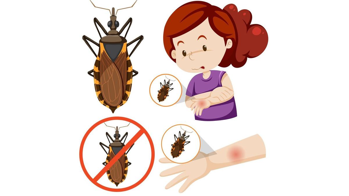 Hari Penyakit Chagas Sedunia 14 April: Waspadai Gigitan Serangga Penyebab Gagal Jantung