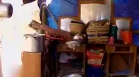 VIDEO: 4 Keluarga Ini Tinggal di Kandang Sapi