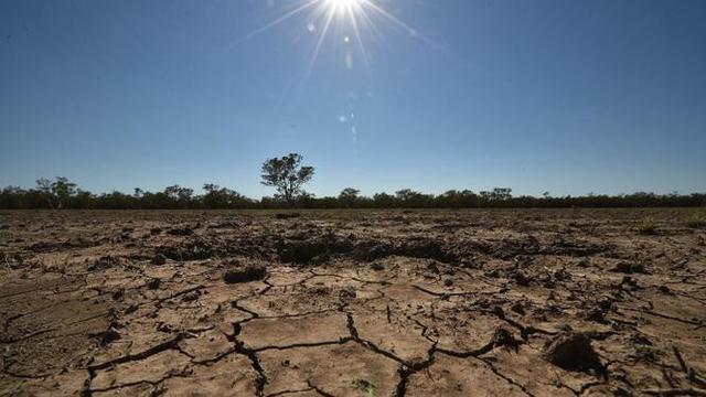 Foto ilustrasi kekeringan di Australia. Foto diambil pada 11 Februari 2015 di Walgett, 650 kilometres Sydney, sebuah kota pertanian terbesar di kawasan itu tengah menderita kekeringan parah akibat musim panas yang terik.
