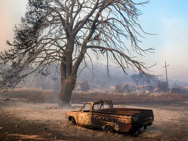 Sebuah mobil rusak terlihat di depan pohon yang terbakar dekat Loutraki, 80 Kilometer sebelah barat Athena, Yunani, Senin (17/7/2023). Dua kebakaran hutan mengancam rumah-rumah di daerah di luar Athena, di mana angin kencang membuat api sulit dibendung. (AP Photo/Petros Giannakouris)