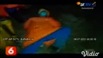 Aktivitas para petugas BPBD Jombang, Jawa Timur, tiap harinya tidak pernah sepi. Lantaran, mereka harus siap siaga untuk memakamkan jenazah pasien Covid-19. Dalam waktu sehari para petugas bisa memakamkan 22 jenazah korban Covid-19.