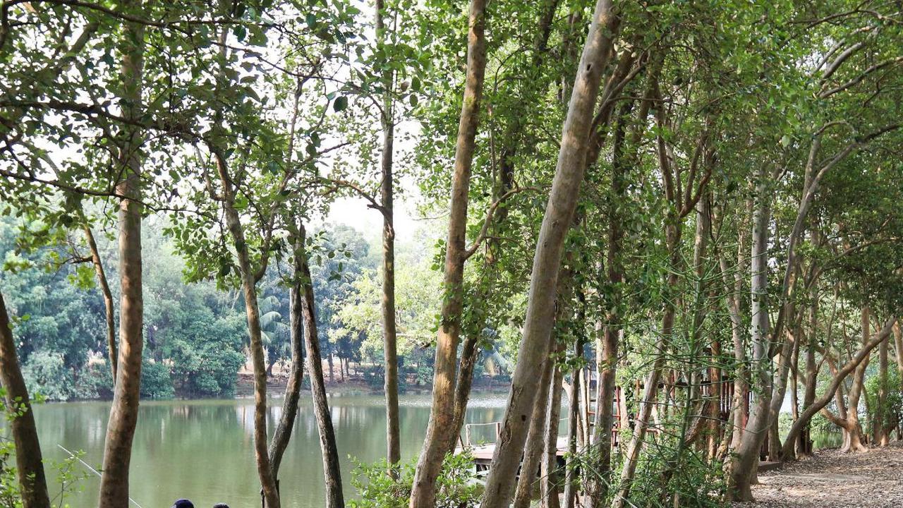 Kawasan Ekowisata Mangrove Pantai Indah Kapuk (PIK) memiliki daya tarik yang unik bagi para wisatawan.

Kawasan ini diketahui memiliki luas lahan 95,50 hektar yang terbagi menjadi empat wilayah.