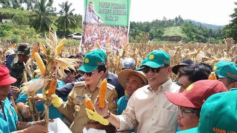 Bupati Minsel Cari Akal Wujudkan Program Jagung 50 Ribu Hektare  