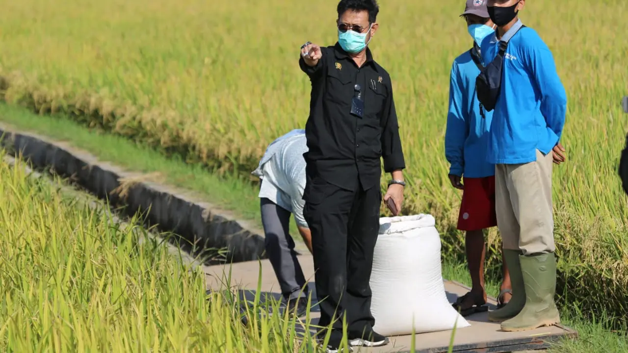 BPS Sebut Bulan Ini Hanya Sektor Pertanian yang Kinerja Ekspornya Stabil