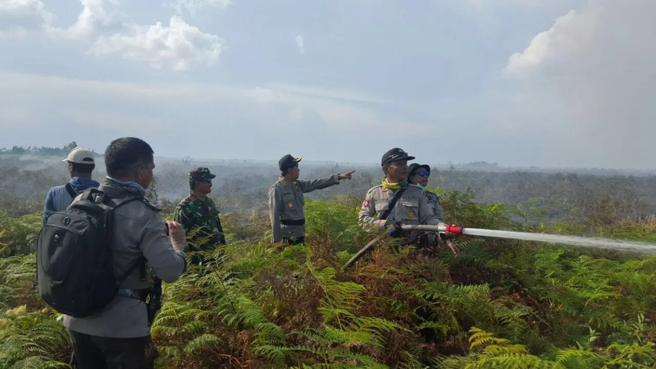 Kebakaran Hutan