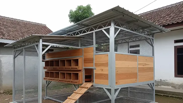 9 Desain Kandang Ayam Rangka Baja Ringan Kombinasi Kayu, Solusi Modern dan Kuat
