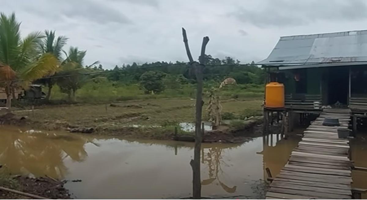 Cerita Wanita Paruh Baya Transmigarasi Asal Jogyakarta Sering Barbagi Makanan dengan Buaya 'Kita yang Kalah dia yang Kenyang'