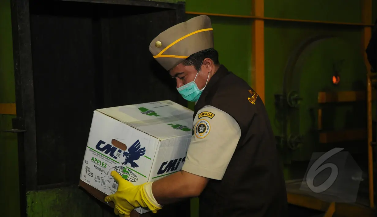Salah satu petugas Badan Karantina Kementerian Pertanian memasukkan salah satu jenis apel yang tidak layak dan tidak aman makan untuk dimusnahkan dengan alat pembakar insenerator di Karawang, Jawa Barat, Jumat (6/3/2015). (Liputan6.com/Helmi Fithriansyah)