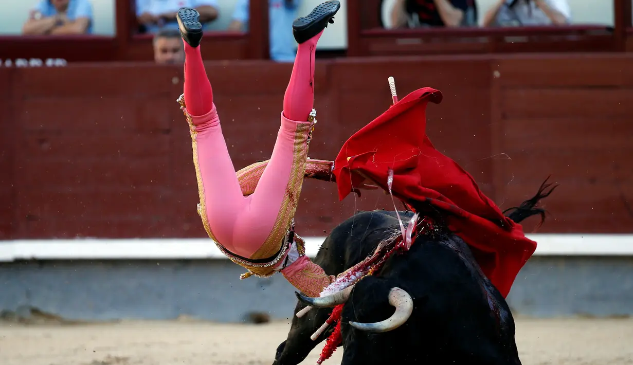 Matador asal Spanyol, Pablo Belando terlempar ke udara usai diseruduk oleh banteng saat bertarung di arena adu banteng Ventas di Madrid (24/7). (REUTERS / Javier Barbancho)
