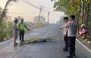 Jasad Wanita Tergeletak di Jalan Lintas Timur Sumatera