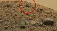 Sebuah gambar mirip kepala patung 'bernuansa Romawi' terlihat di antara bebatuan Mars dalam foto arsip Curiosity Rover (Paranormal Crucible/Dailymail.co.uk).