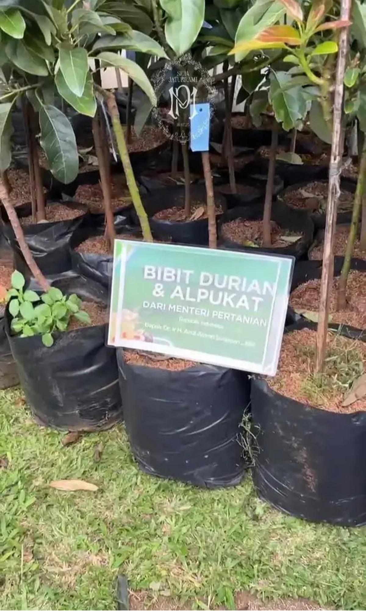 Kado Unik di Pernikahan Putri Karlina Menantu Dedi Mulyadi, Bukan Karangan Bunga