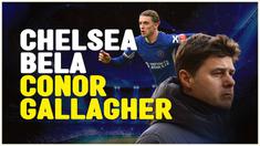Berita video bos Chelsea, Mauricio Pochettino, pasang badan untuk Conor Gallagher, setelah videonya viral di media sosial yang dituduh rasis.