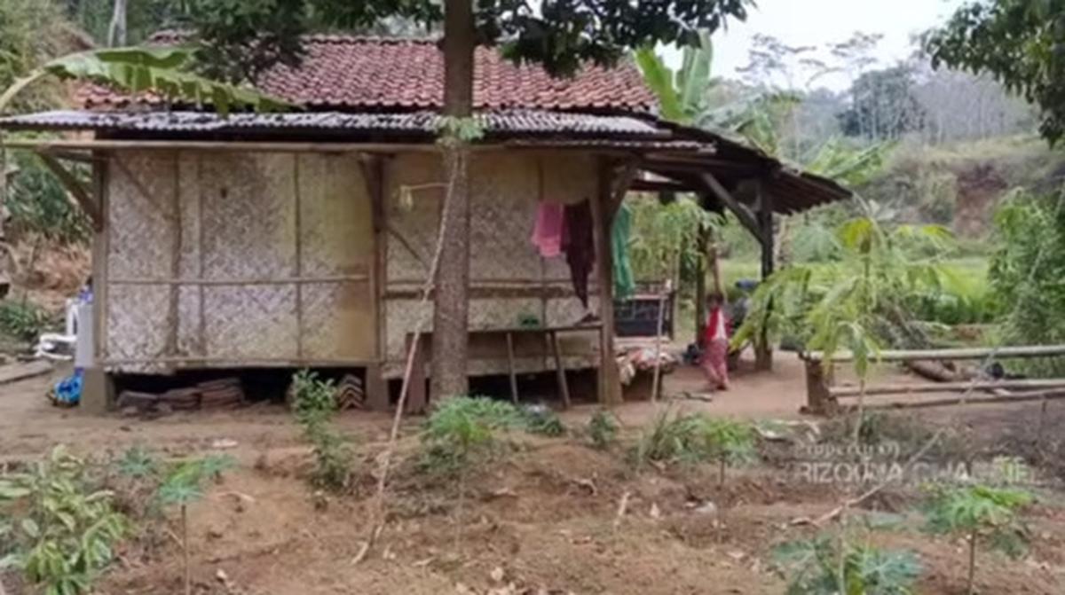 rumah sutradara di hutan