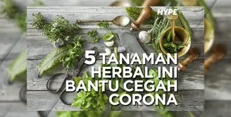 5 Tanaman Herbal Ini Bantu Cegah Corona