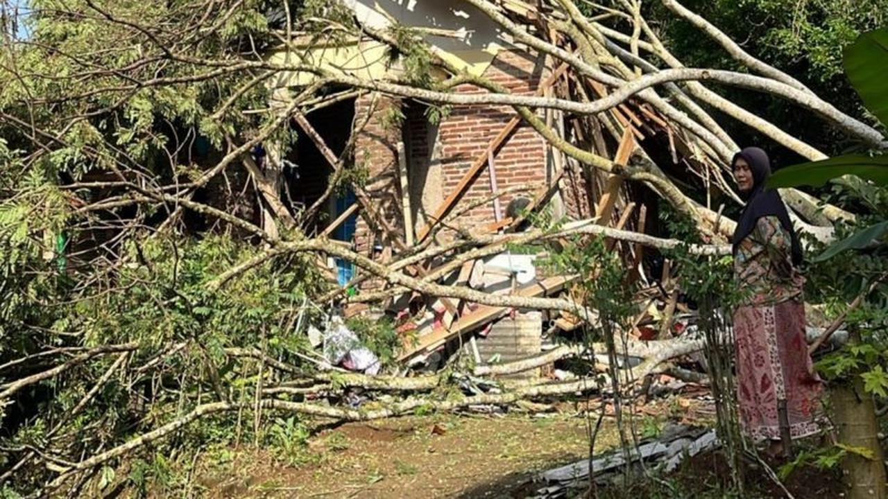 Angin Kencang Ciamis: BPBD Tangani Pohon Tumbang dan Rumah Rusak di Berbagai Wilayah