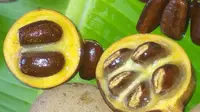 8 Khasiat Buah Kepel bagi Kesehatan Tubuh