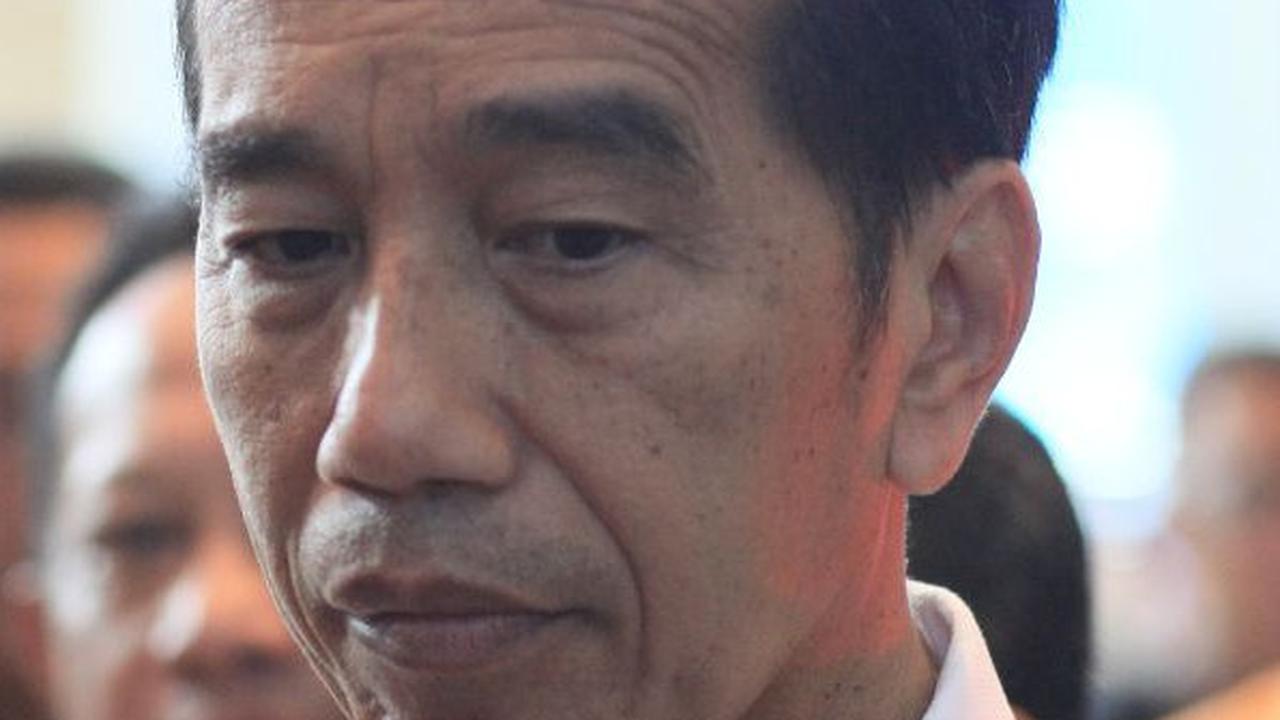 Jokowi Tegaskan Kelangkaan Beras Tak Ada Hubungan dengan Bantuan Pangan