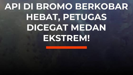 Api di Bromo Berkobar Hebat, Petugas Dicegat Medan Ekstrem!