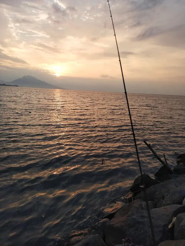 12 Rekomendasi Spot Mancing Nyaman 2025 di Situbondo, Wajib Dicoba