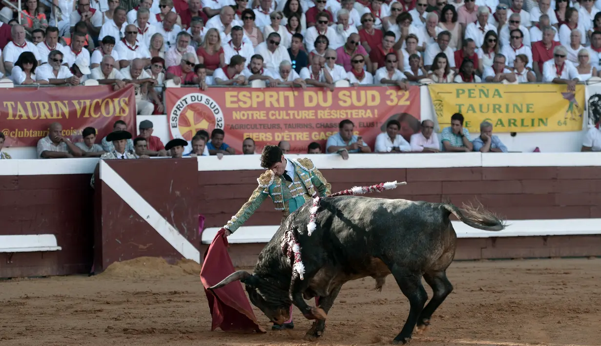 Matador asal Spanyol David Martin Escudero berusaha menenangkan seekor banteng Pedraza de Yeltes selama Festival Dax di Dax Arena, barat daya Prancis (13/8). (AFP Photo/Iroz Gaizka)