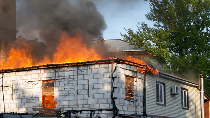 courtesy shutterstock