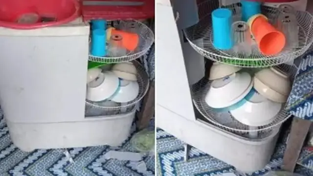 6 Potret Alih Fungsi Benda Jadi Tempat Simpan Piring Ini Bikin Tepuk Jidat