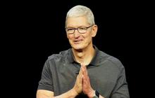 Tim Cook Akui Apple Tak Sanggup Lawan ChatGPT dan Gemini