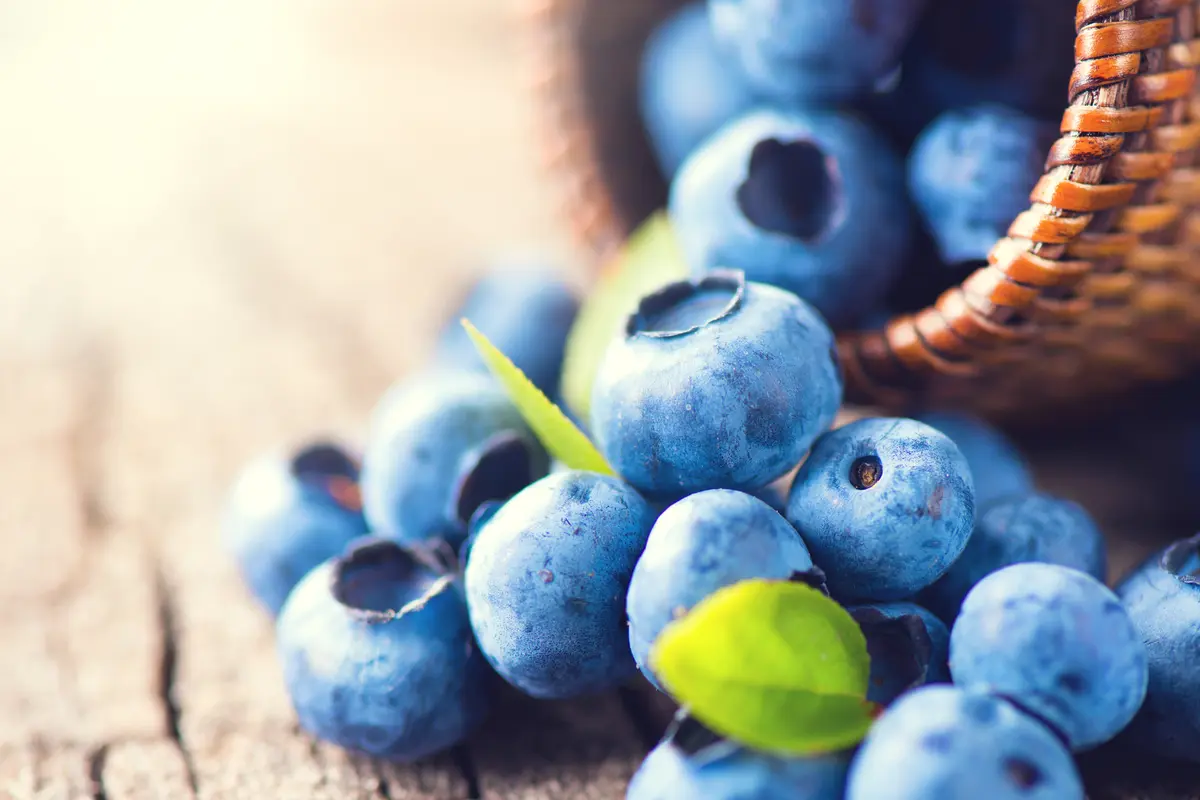 Blueberry