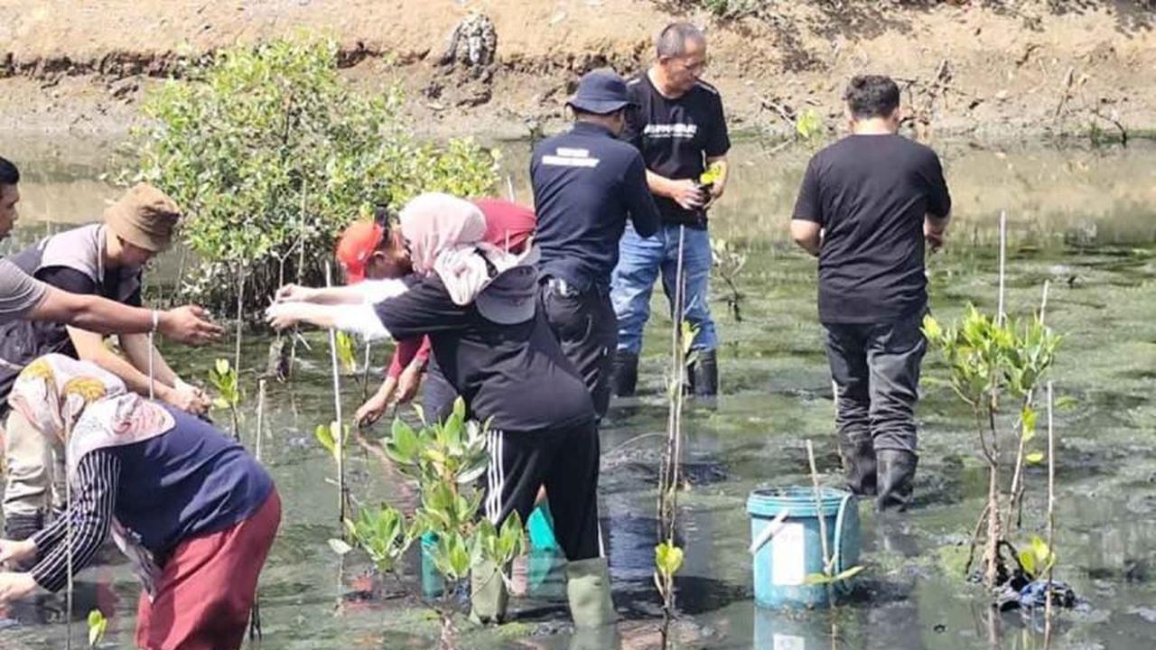 Fakta Unik: ASPPI Aceh Tanam 5.000 Mangrove di Hari Pariwisata Sedunia, Wujudkan Destinasi Hijau di Lampulo