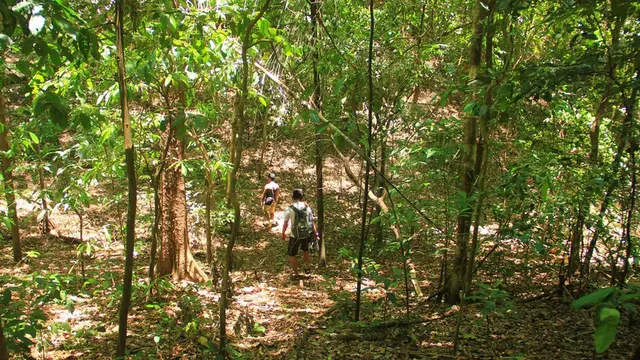 Taman Nasional Tangkoko