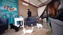 Kucing-kucing ini asyik bermain di Cat Cafe. Para pengunjung bisa mengajak bermain kucing mereka dengan kucing pengunjung lainnya (AFP PHOTO/Emmanuel Dunand)
