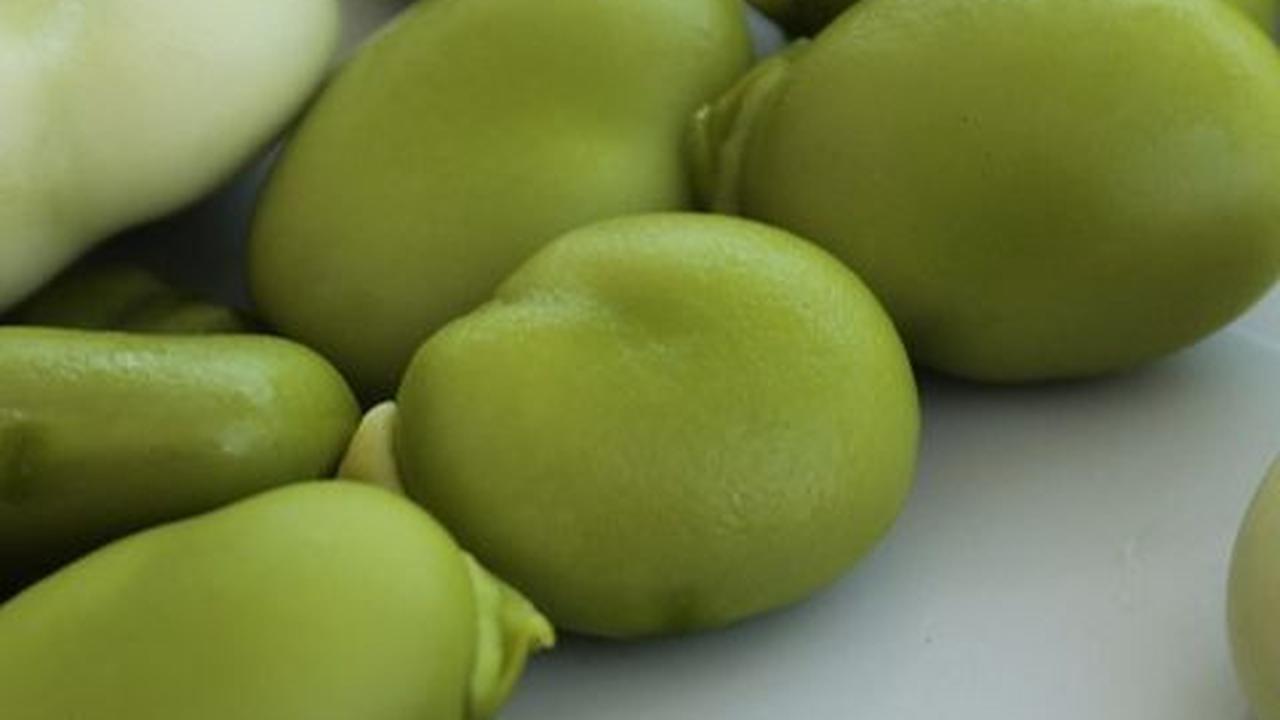 Manfaat Kacang Lima bagi Kesehatan, Menyehatkan Tulang dan Jantung