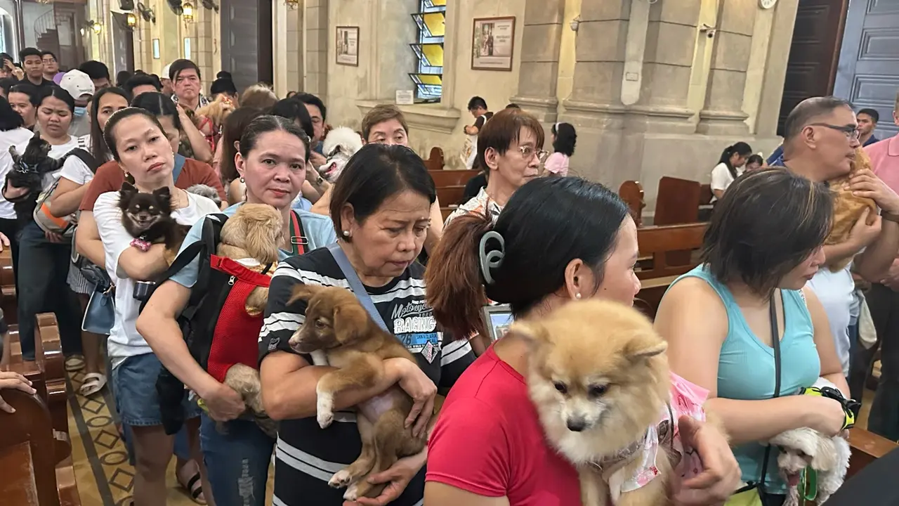 Pemilik Anabul Antre di Gereja untuk Pemberkatan (AP/Joeal Calupitan)