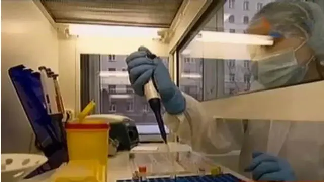 Jendela Dunia: Wabah Flu di Rusia Diduga Flu Babi