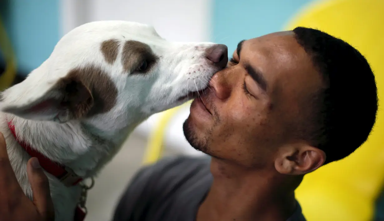 Pengunjung dijilat wajahnya oleh anjing saat pembukaan Dog Cafe coffee shop di Los Angeles, AS (7/4). Dog Cafe resmi menjadi kafe pertama di Los Angeles yang menawarkan pengunjung untuk dapat mengadopsi anjing di kafe tersebut. (REUTERS/Lucy Nicholson)