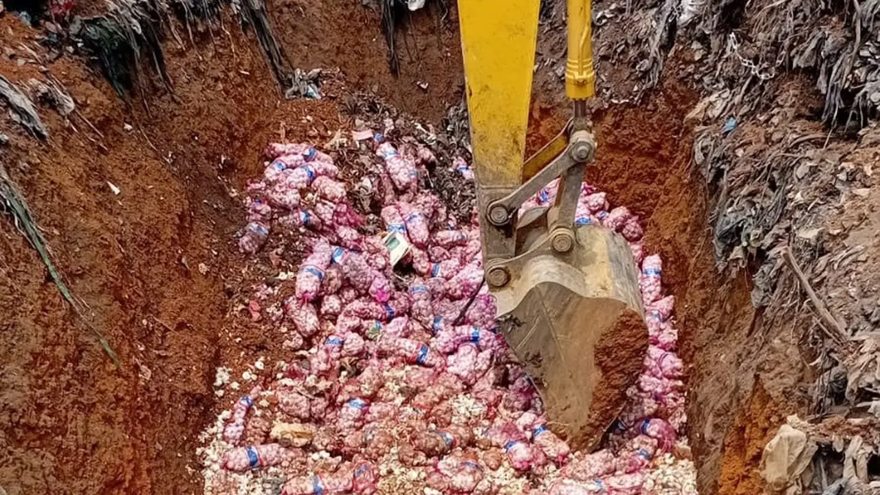 Pemusnahan bawang putih asal China di Batam