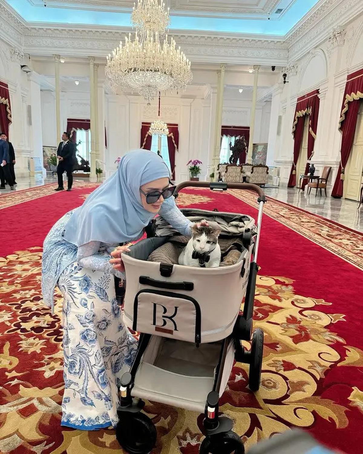 7 Potret Bobby Kucing Prabowo di Pelantikan Presiden, Jadi Penghuni Istana
