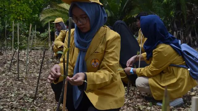 Penanaman mangrove di Arboretum Mangrove, Ujung Alang, Kampung Laut, Cilacap dalam Field Trip yang merupakan rangkaian ICoMIRE 2019. (Foto: Liputan6.com/UNSOED/Muhamad Ridlo)