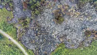Foto udara ini memperlihatkan lahan yang terdampak kebakaran hutan di Kapuas Hulu, Kalimantan Barat, Jumat, 4 September 2026. (AFP/ Bay Ismoyo)