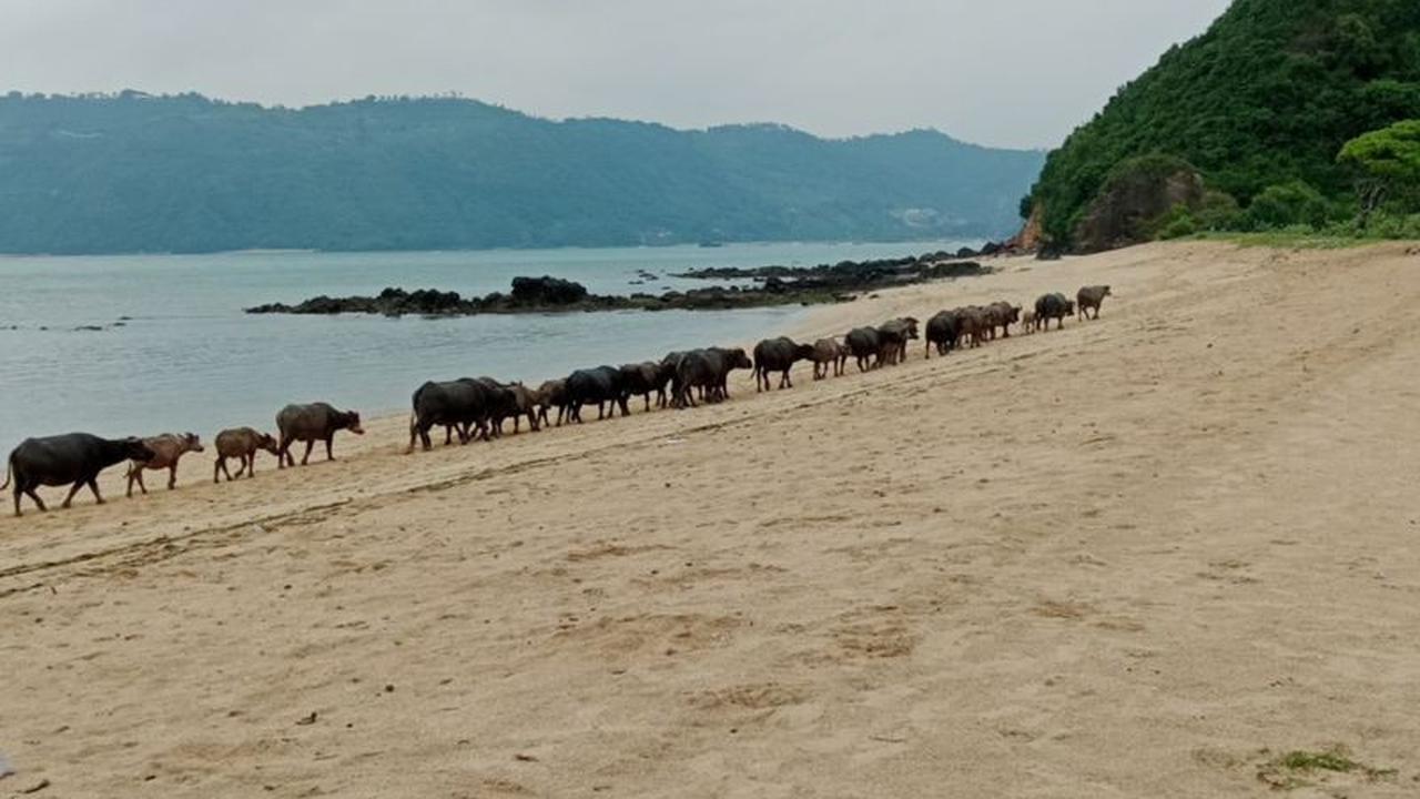 Bupati Lombok Tengah Perketat Pengawasan Pengelolaan Wisata Jelang Libur Lebaran 2026