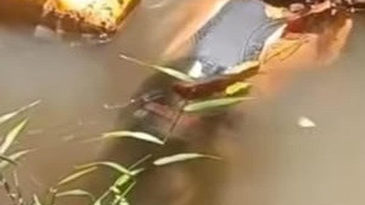 WNA Norwegia Ditemukan Tewas di Sungai Lima Puluh Kota