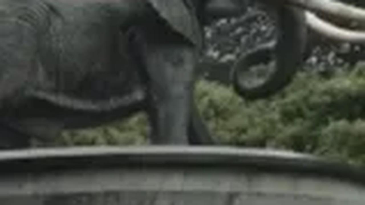 Ingat Kampung Gajah di Bandung yang Dulu Populer, Kini Terbengkalai Sangat Memprihatinkan