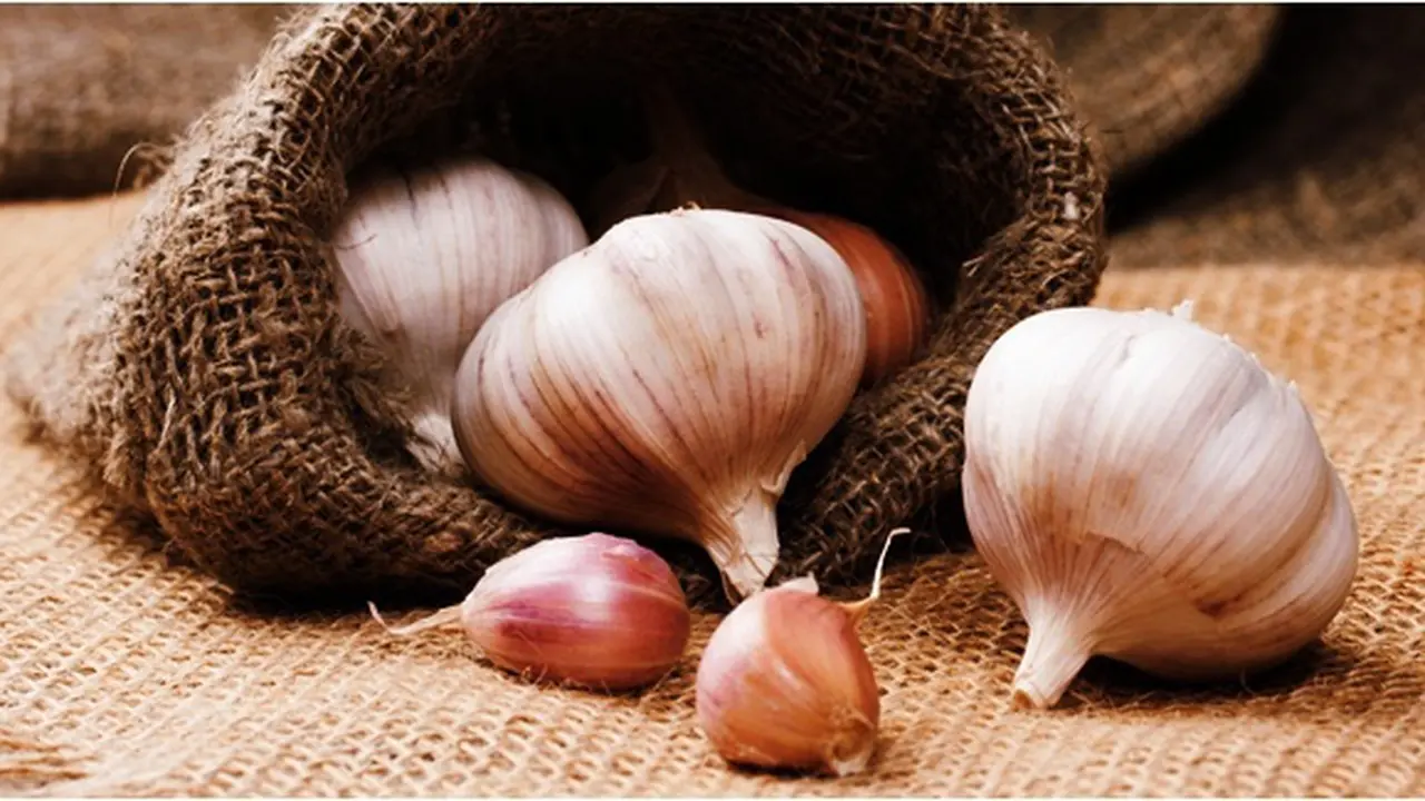 Photo: Copyright Thinkstockphotos.com