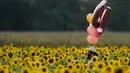 Seorang perempuan dengan balon melintasi ladang bunga matahari di Grinter Farms, dekat Lawrence, Kansas pada 7 September 2020. Ladang seluas 26 acre yang ditanam setiap tahunnya oleh keluarga Grinter itu menarik ribuan pengunjung selama akhir musim panas saat mekarnya bunga. (AP Photo/Charlie Riedel