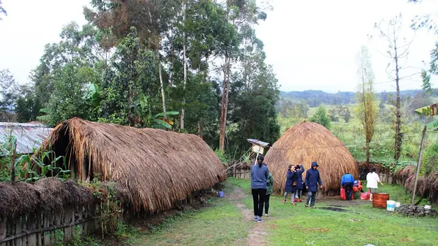 Honai