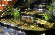 Unik dan Fungsional! Kolam Ikan di Bawah Tangga, Tren Dekorasi Rumah Minimalis 2025