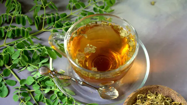 teh herbal daun kelor