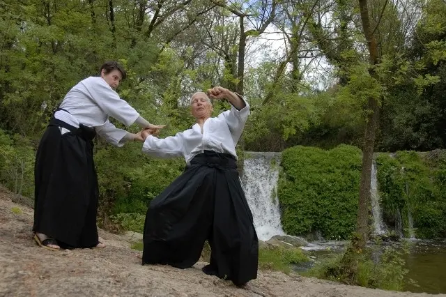 aikido